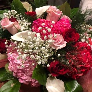 Meet your Posher, Evangela